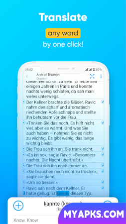 Parallel translation of books 