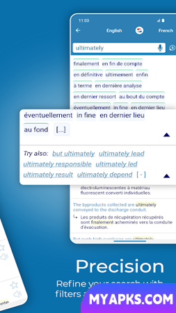 Reverso Translate and Learn 