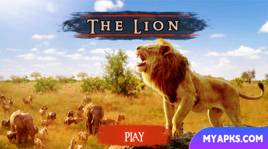 The Lion 