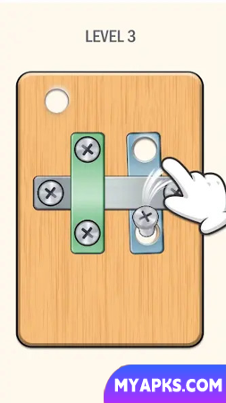 Nuts And Bolts - Screw Puzzle
