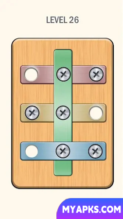 Nuts And Bolts - Screw Puzzle