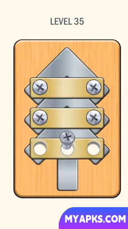 Nuts And Bolts - Screw Puzzle