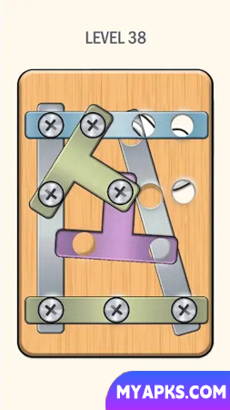 Nuts And Bolts - Screw Puzzle