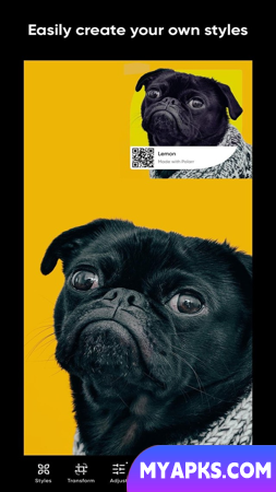 Polarr Photo Editor