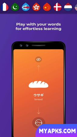 Drops Language Learning