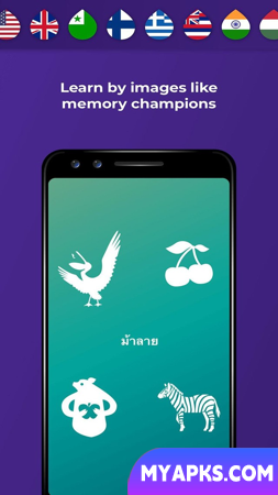 Drops Language Learning