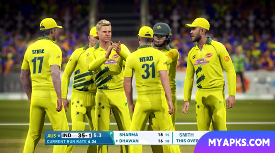 Real World Cricket Games
