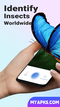 Picture Insect - Bug Identifier