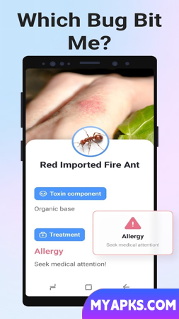 Picture Insect - Bug Identifier