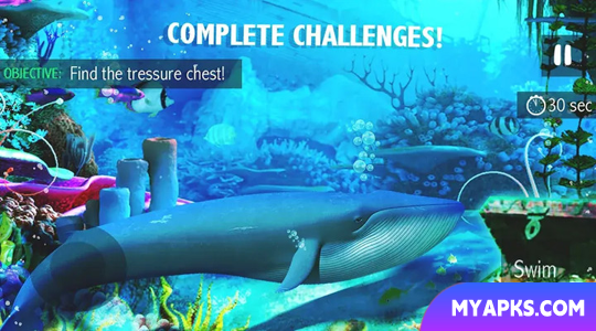 Blue Whale Simulator - Game