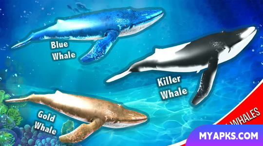 Blue Whale Simulator - Game