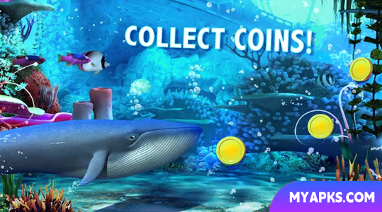 Blue Whale Simulator - Game