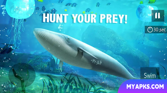 Blue Whale Simulator - Game