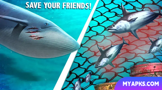 Blue Whale Simulator - Game