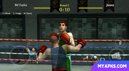 Bully Anniversary Edition
