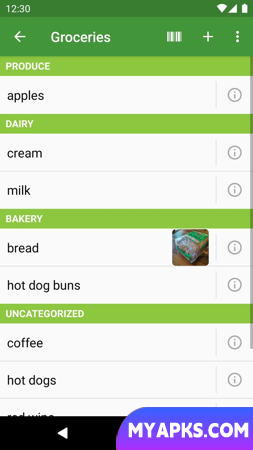 Our Groceries Shopping List