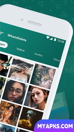 WhatsDelete