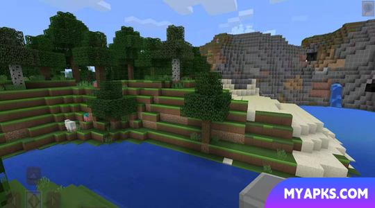 Minicraft