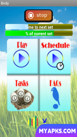 Birdy - Pest Bird Control