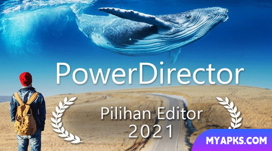 PowerDirector Pro