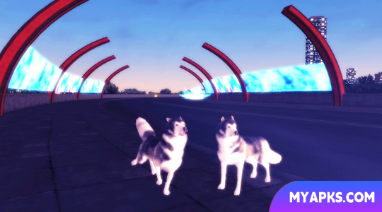 Husky Simulator