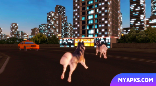 Husky Simulator