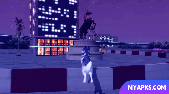 Husky Simulator
