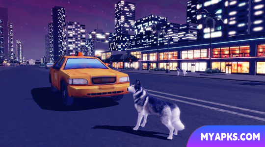 Husky Simulator