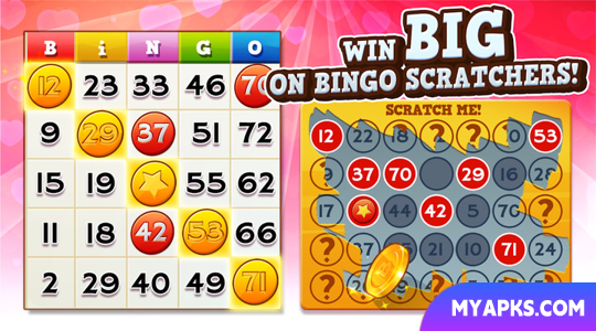 Bingo Pop: Play Live Online