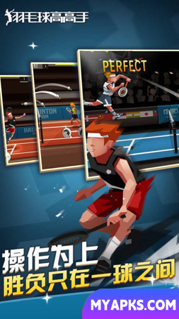 Badminton Master Crack edition