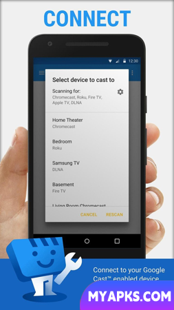 Web Video Cast
