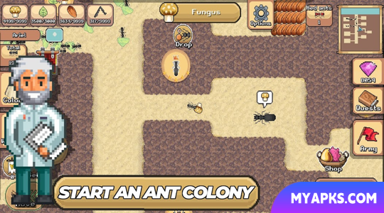 Pocket Ants: Colony Simulator 
