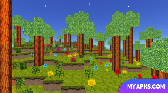 Adventure Craft