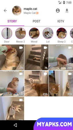 Story Saver for Instagram