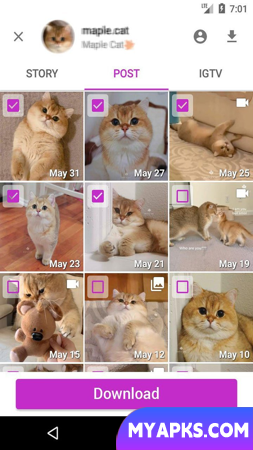 Story Saver for Instagram