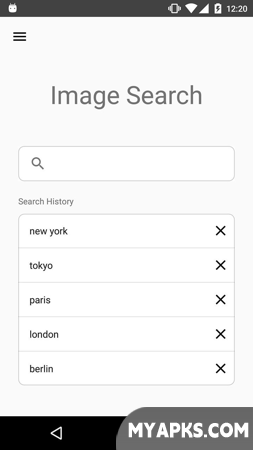 Image Search - ImageSearchMan