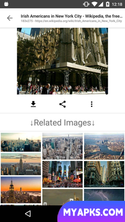 Image Search - ImageSearchMan