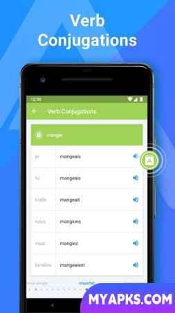 iTranslate Translator & Dictionary