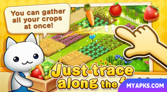 Meow Meow Star Acres