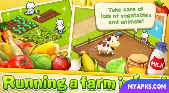 Meow Meow Star Acres