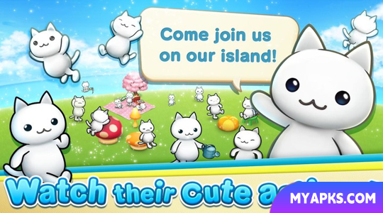 Meow Meow Star Acres
