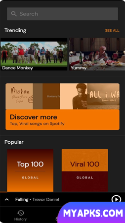 ​​YTPlayer