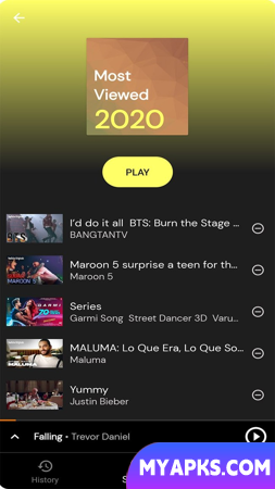 ​​YTPlayer