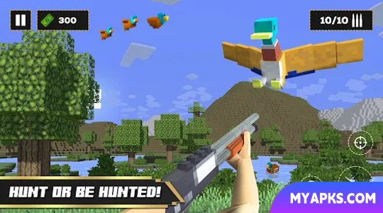 Duck Hunt 3D - Craftsman