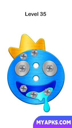Screw Puzzle: Nuts and Bolts