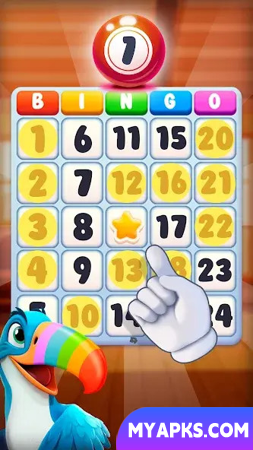 Bingo