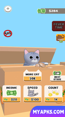 Cat Box Fever