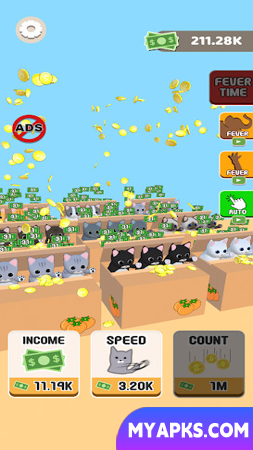 Cat Box Fever