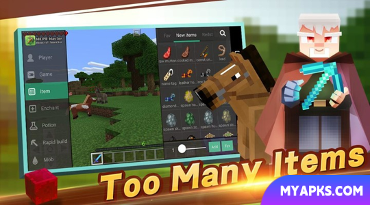 Master for Minecraft