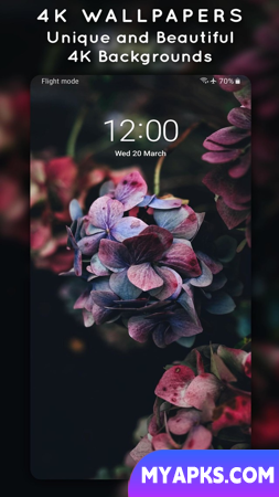 4K Wallpapers - Auto Wallpaper Changer